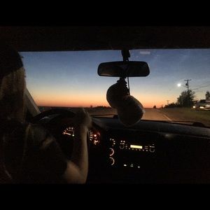 Meet your Posher, Lily